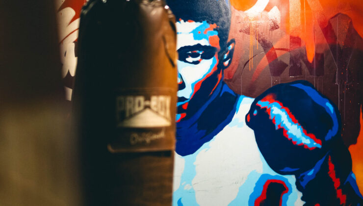 Nyrkkeilijä maalaus ja nyrkkeilysäkki